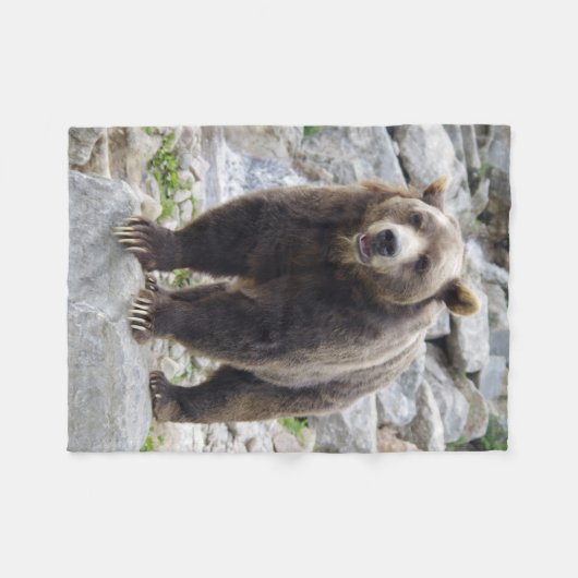 Kodiak Bär Fleecedecke (Vorderseite (Horizontal))