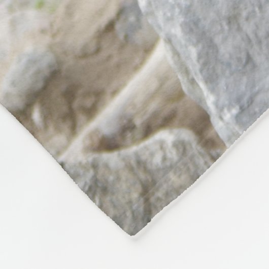 Kodiak Bär Fleecedecke (Ecke)