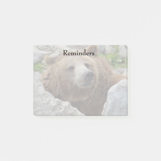 Kodiak Bär Post-it Klebezettel (Vorderseite)