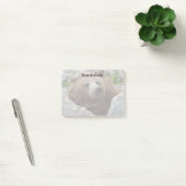 Kodiak Bär Post-it Klebezettel (Büro)