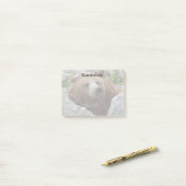 Kodiak Bär Post-it Klebezettel (Auf Schreibtisch)