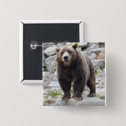 Kodiak-Bär Stehend auf einem Felsen Button (Vorne & Hinten)