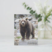Kodiak-Bär Stehend auf einem Felsen Postkarte (Stehend Vorderseite)