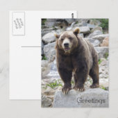 Kodiak-Bär Stehend auf einem Felsen Postkarte (Vorne/Hinten)
