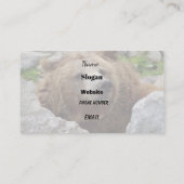 Kodiak Bär Visitenkarte (Rückseite)
