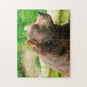 Kodiak Bären. Jigsaw Puzzle (Vertikal)
