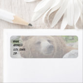 Kodiak Bear (Insitu)