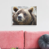 Kodiak Bear Closeup Leinwanddruck (Insitu (Wohnzimmer))
