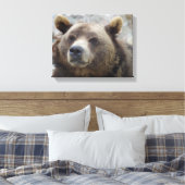 Kodiak Bear Closeup Leinwanddruck (Insitu (Schlafzimmer))