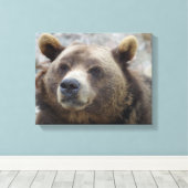 Kodiak Bear Closeup Leinwanddruck (Insitu (Holzboden))