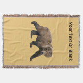 Kodiak Bear Decke (Vorderseite)