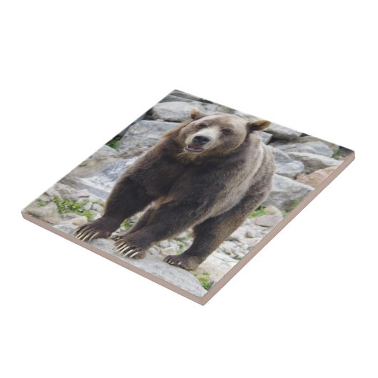 Kodiak Bear Fliese (Seite)