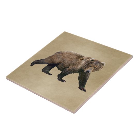 Kodiak Bear Fliese (Seite)