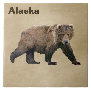 Kodiak Bear Fliese