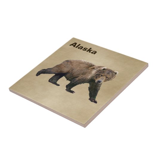 Kodiak Bear Fliese (Seite)