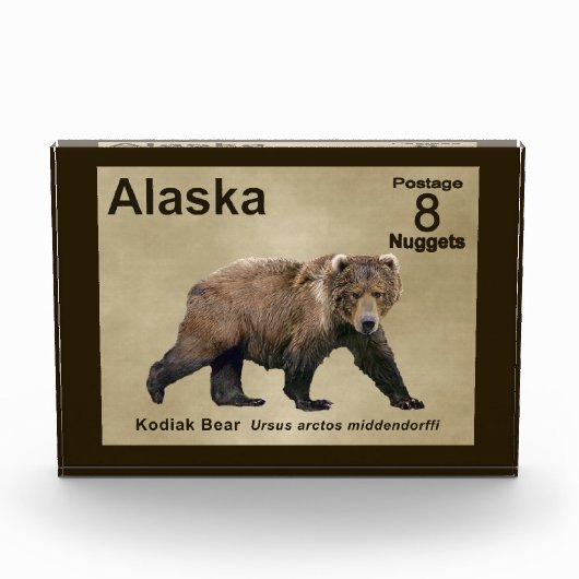 Kodiak Bear Fotoblock (Vorderseite)