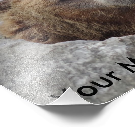 Kodiak Bear Fotodruck (Ecke)