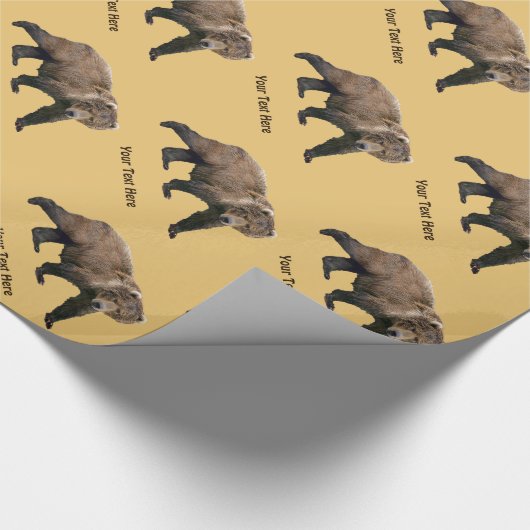 Kodiak Bear Geschenkpapier (Ecke)