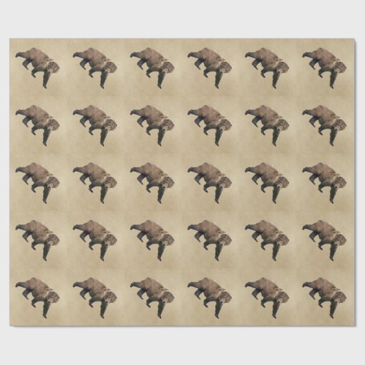 Kodiak Bear Geschenkpapier (Flach)