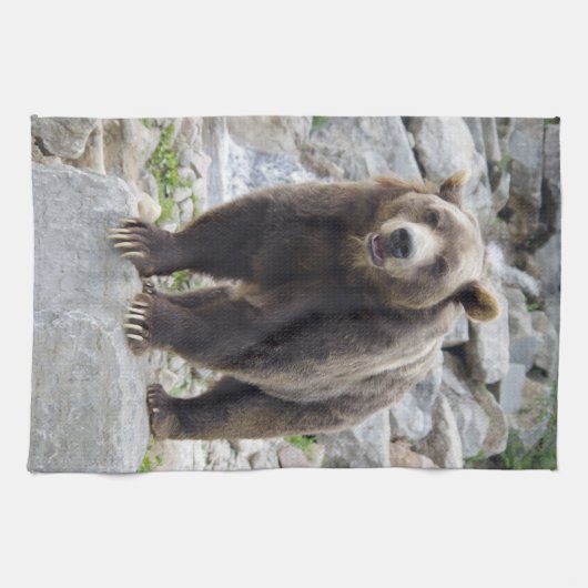 Kodiak Bear Geschirrtuch (Horizontal)