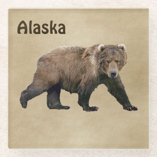 Kodiak Bear Glasuntersetzer (Vorderseite)
