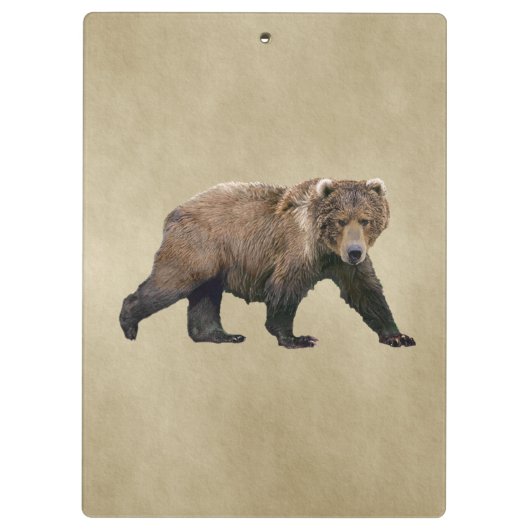 Kodiak Bear Klemmbrett (Rückseite)