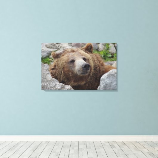 Kodiak Bear Leinwanddruck (Insitu (Holzboden))