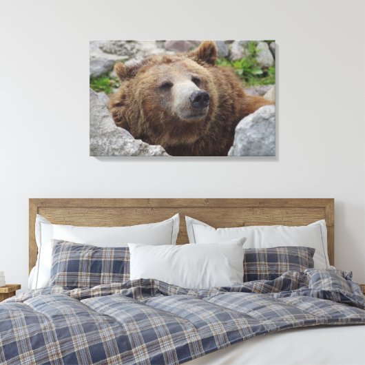 Kodiak Bear Leinwanddruck (Insitu (Schlafzimmer))