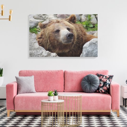 Kodiak Bear Leinwanddruck (Insitu (Wohnzimmer))