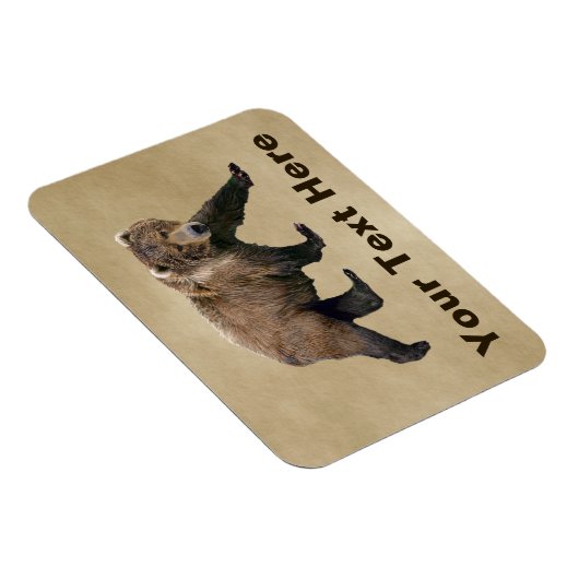 Kodiak Bear Magnet (Rechte Seite)