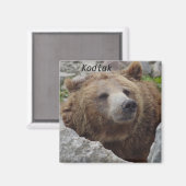 Kodiak Bear Magnet (Vorderseite/Rückseite)