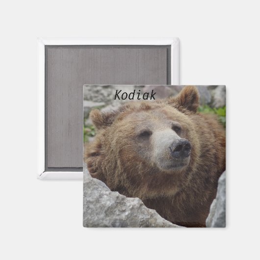 Kodiak Bear Magnet (Vorderseite/Rückseite)