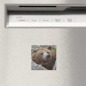 Kodiak Bear Magnet (In Situ (Geschirrspüler))