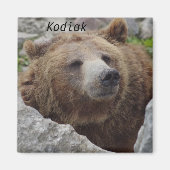 Kodiak Bear Magnet (Vorne)