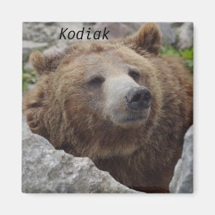 Kodiak Bear Magnet