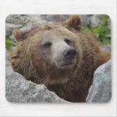 Kodiak Bear Mousepad (Vorne)