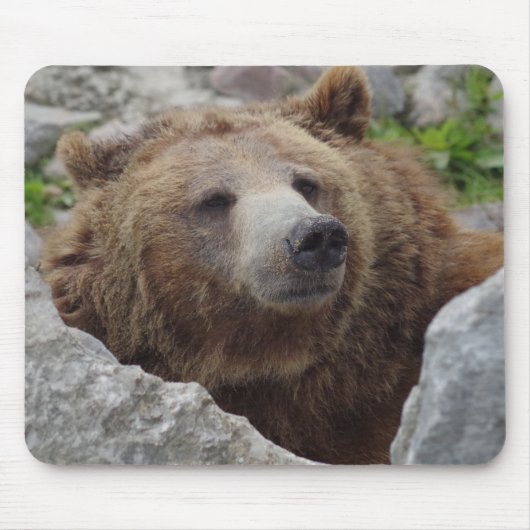 Kodiak Bear Mousepad (Vorne)