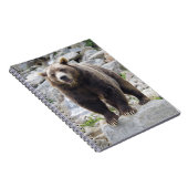 Kodiak Bear Notizblock (Rechte Seite)