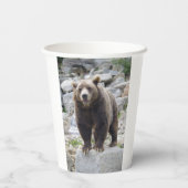 Kodiak Bear Pappbecher (Rückseite)