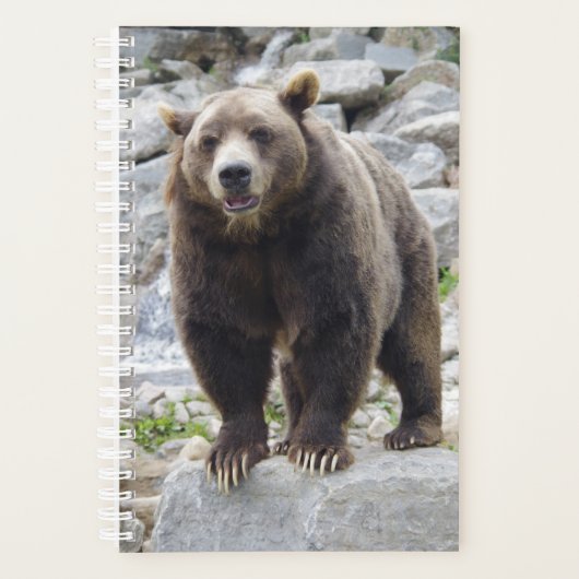 Kodiak Bear Planer (Vorderseite)