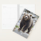 Kodiak Bear Planer (Anzeige)