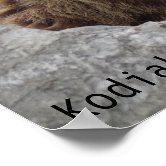 Kodiak Bear Poster (Ecke)