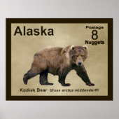 Kodiak Bear Poster (Vorne)
