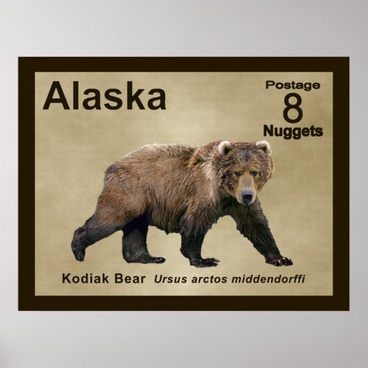 Kodiak Bear Poster (Vorne)