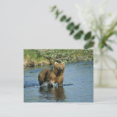 Kodiak Bear Postkarte (Stehend Vorderseite)