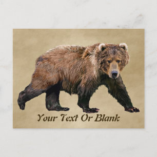 Kodiak Bear Postkarte