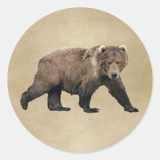 Kodiak Bear Runder Aufkleber (Vorderseite)