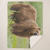 KODIAK BEAR SHERPADECKE (Vorderseite)