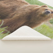 KODIAK BEAR SHERPADECKE (3/4)