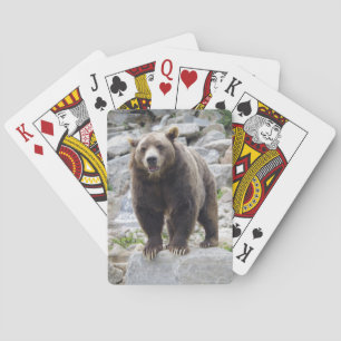 Kodiak Bear Spielkarten